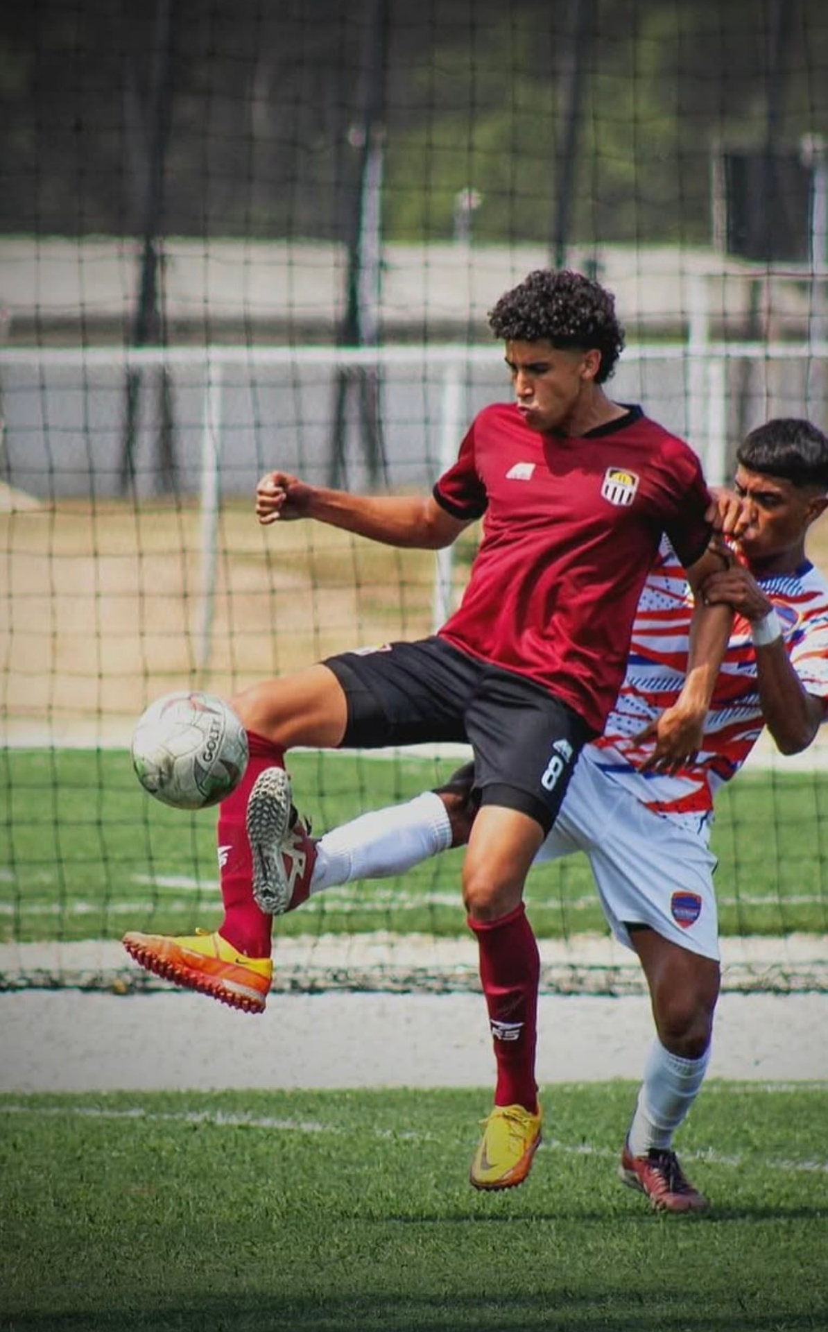 Carlos Montenegro